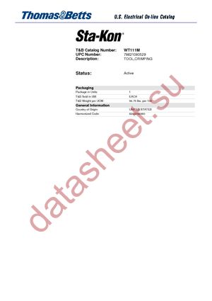 WT111M datasheet  